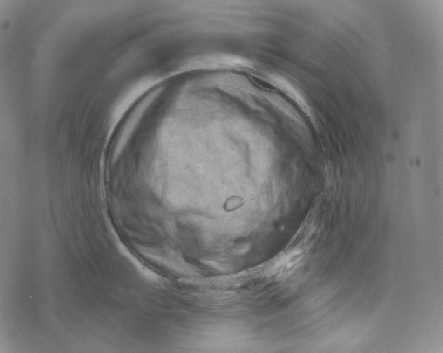 X0000076321103200610161637