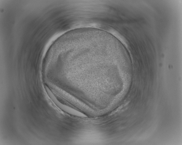 X0000076321104200610161637