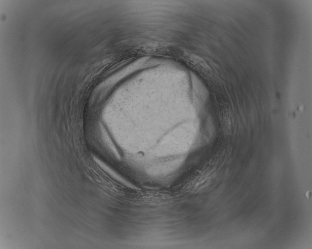 X0000076321105200610161637