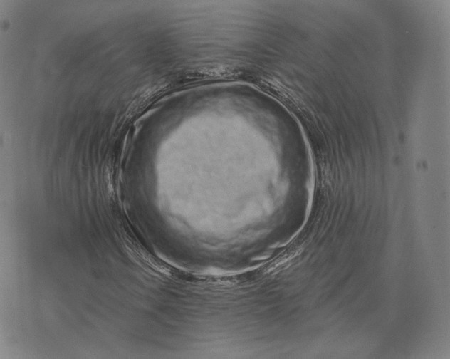 X0000076321106200610161637