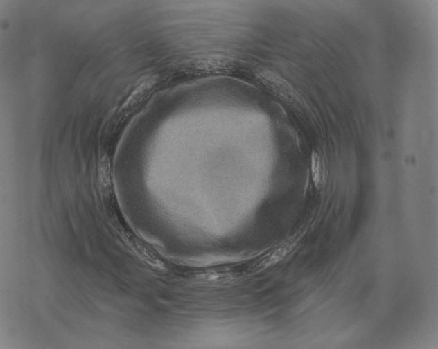 X0000076321107200610161637