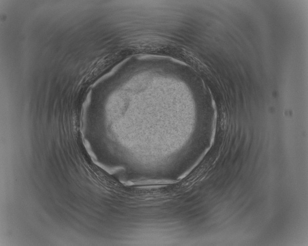 X0000076321108200610161637