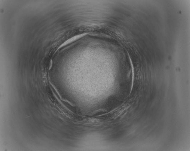 X0000076321109200610161637