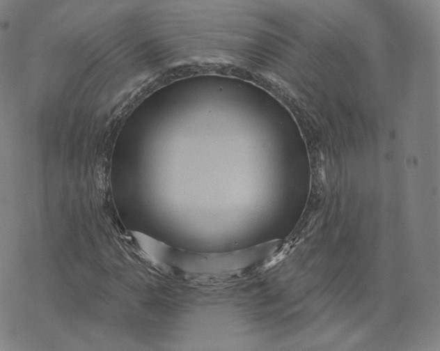 X0000076321110200610161637