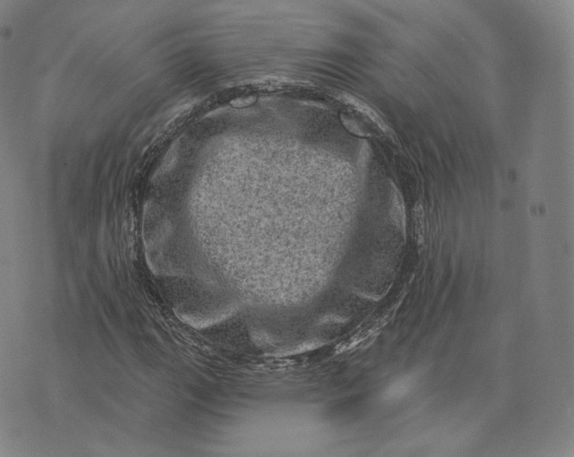 X0000076321111200610161637