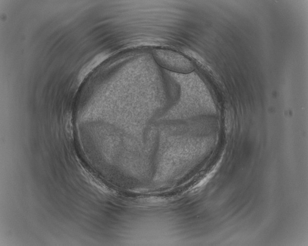 X0000076321113200610161637