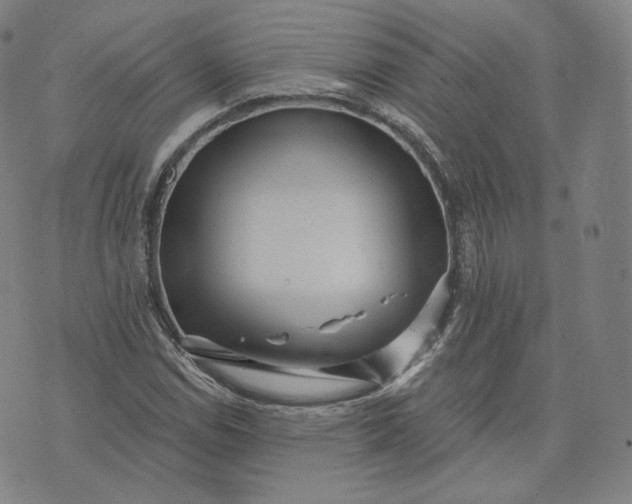 X0000076321114200610161637