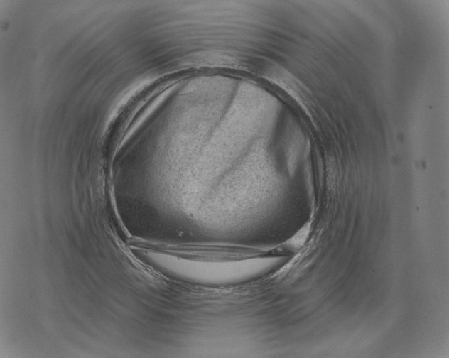 X0000076321115200610161637