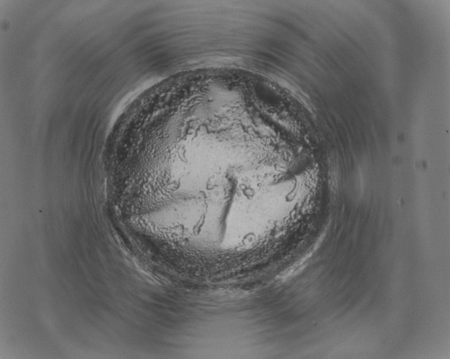 X0000076321117200610161637