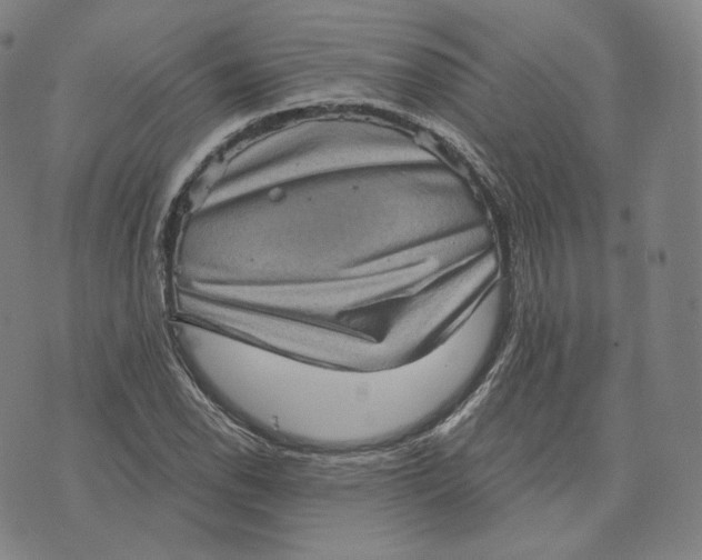 X0000076321118200610161637