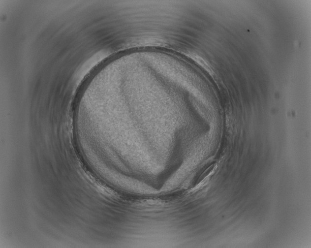 X0000076321119200610161637