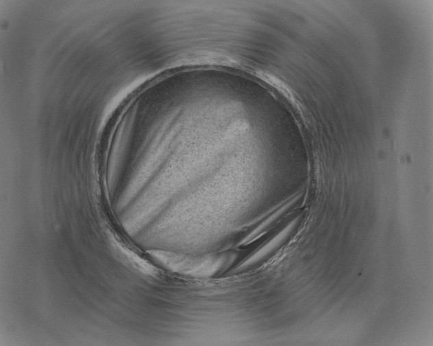 X0000076321120200610161637