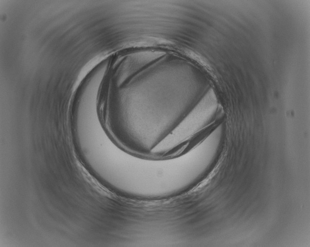 X0000076321122200610161637