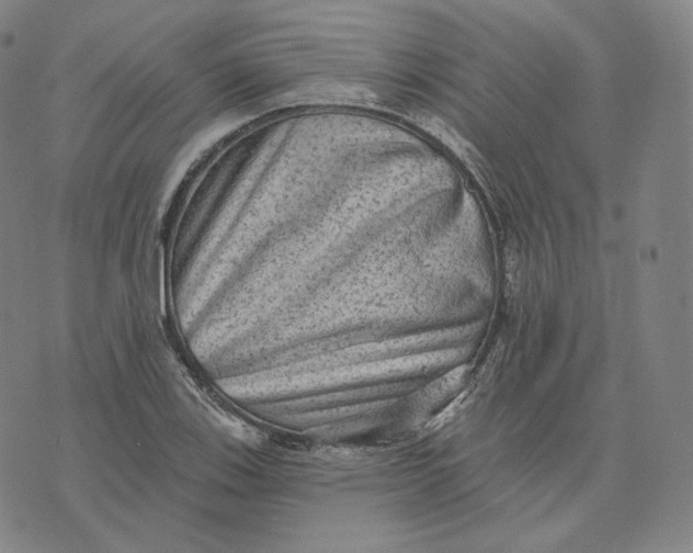 X0000076321123200610161637