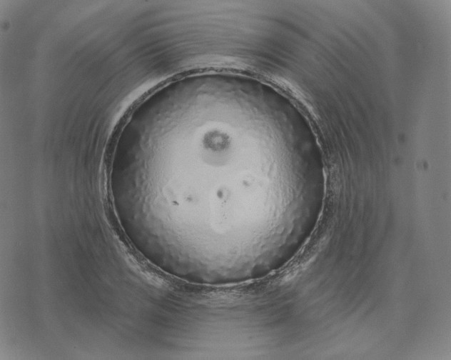 X0000076321125200610161637