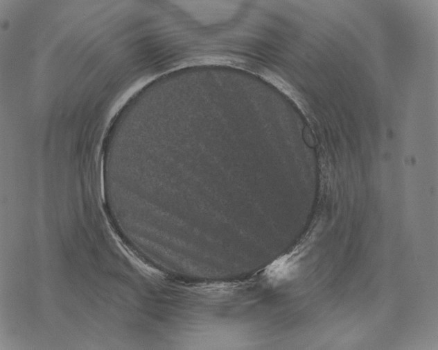 X0000076321127200610161637