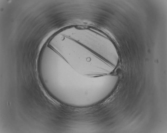 X0000076321128200610161637