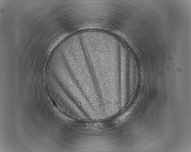 X0000076321129200610161637