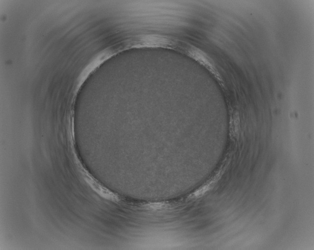 X0000076321130200610161637