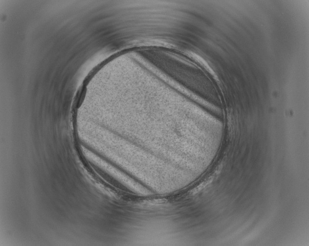 X0000076321133200610161637