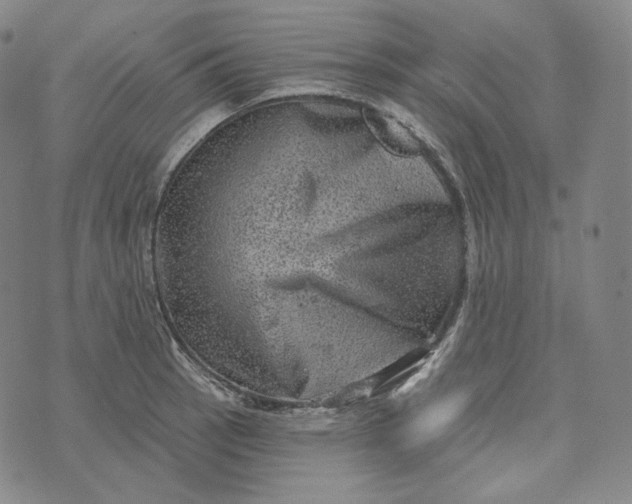 X0000076321137200610161637