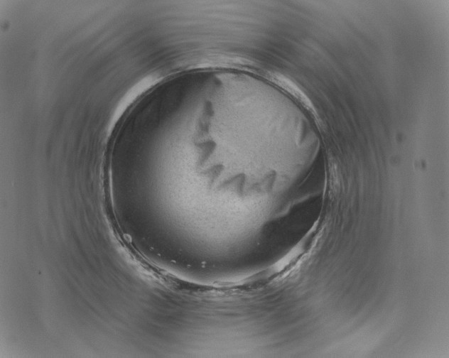 X0000076321138200610161637