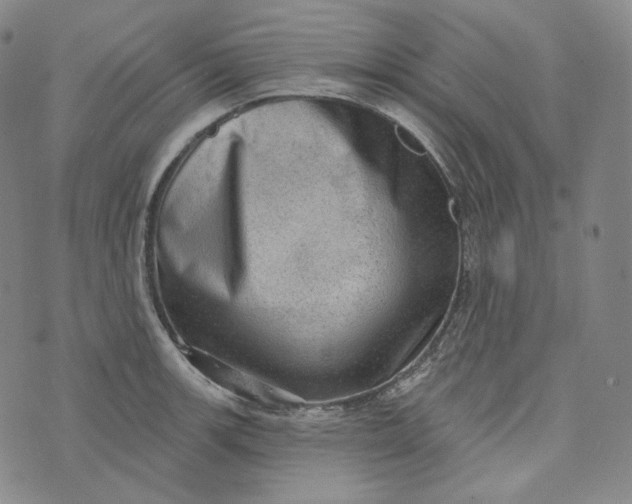 X0000076321139200610161637