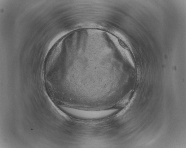 X0000076321141200610161637