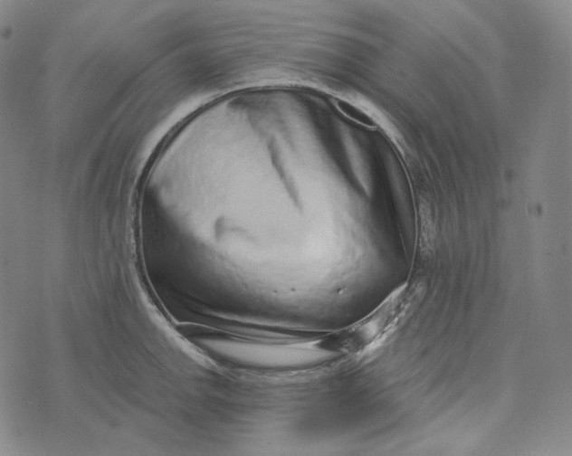 X0000076321142200610161637