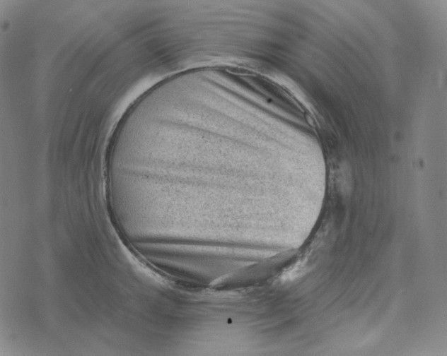 X0000076321143200610161637