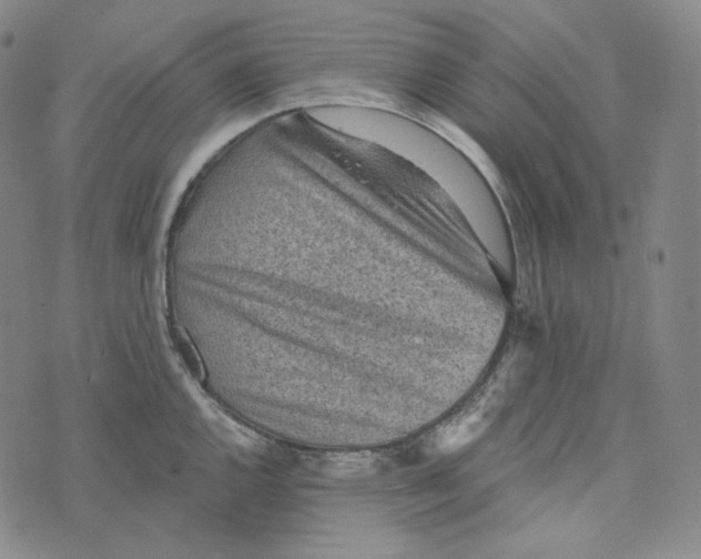 X0000076321144200610161637