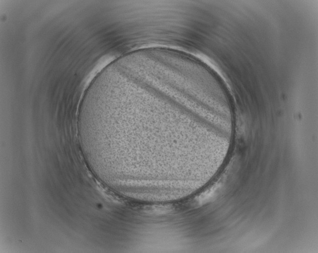 X0000076321145200610161637