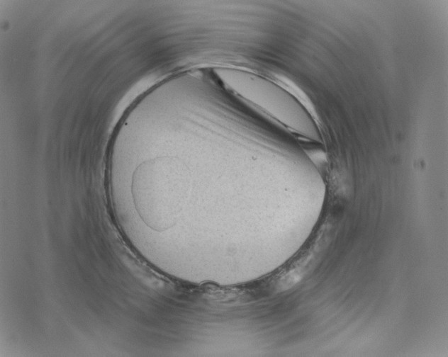 X0000076321146200610161637