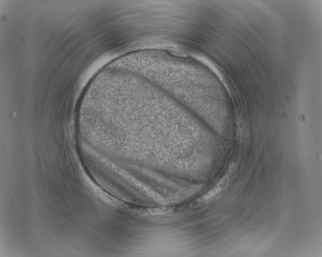 X0000076321147200610161637