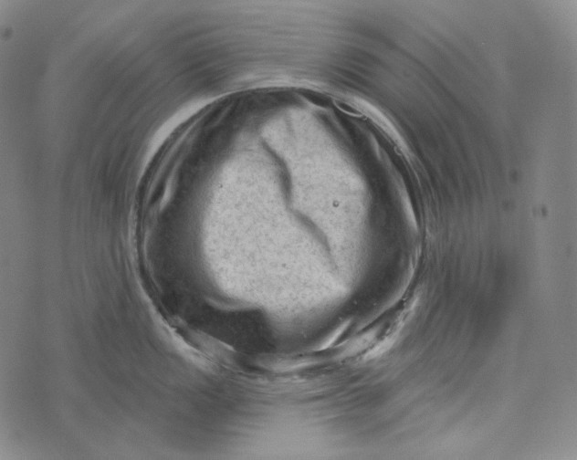 X0000076321149200610161637