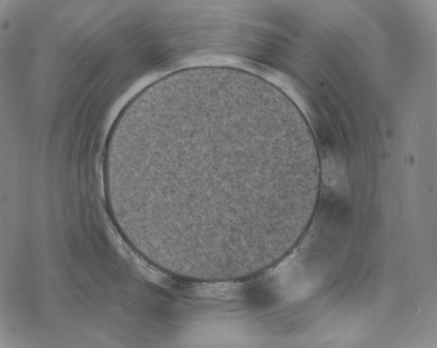 X0000076321150200610161637