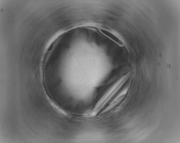 X0000076321151200610161637