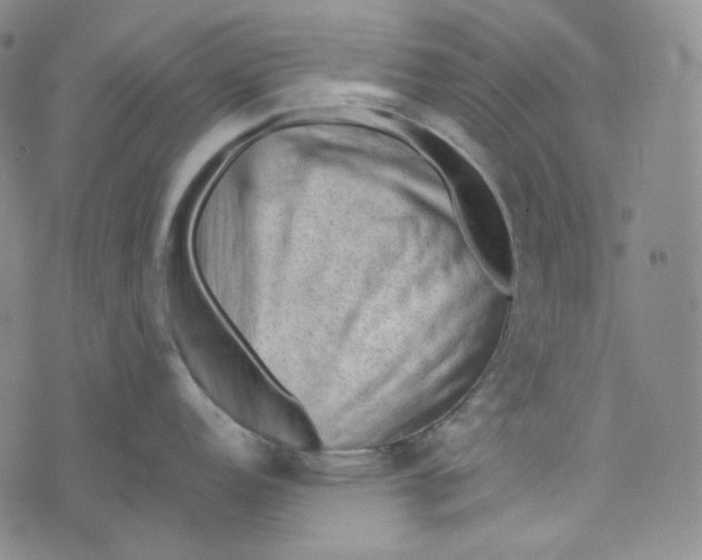 X0000076321152200610161637