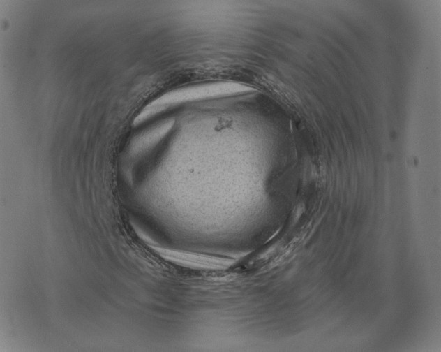 X0000076321153200610161637