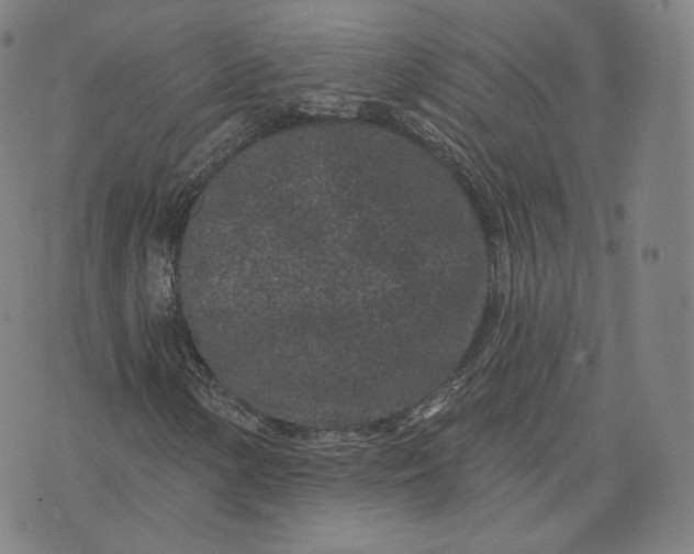 X0000076321154200610161637