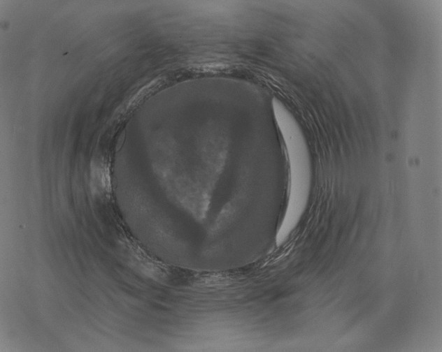 X0000076321155200610161636