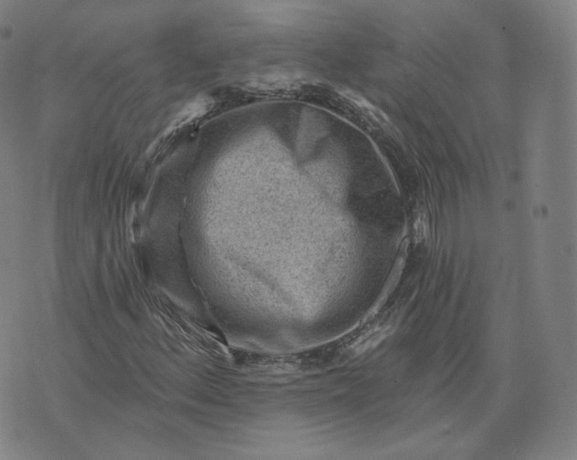 X0000076321156200610161636