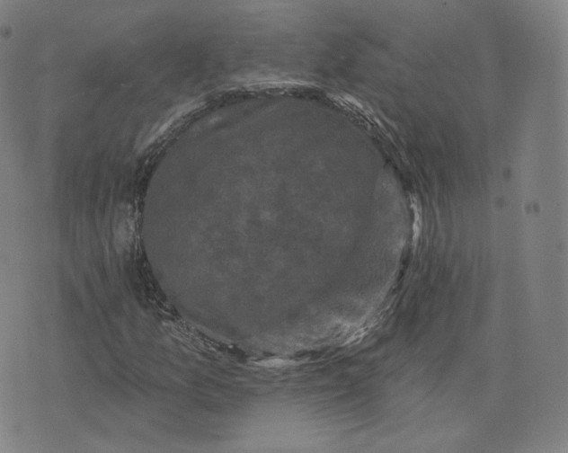 X0000076321157200610161636