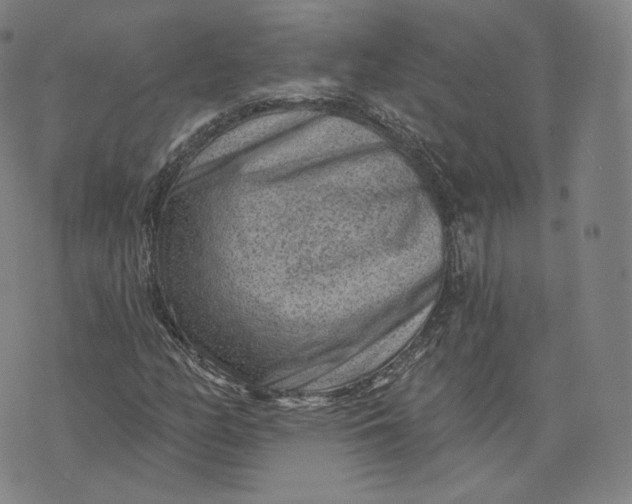 X0000076321158200610161636