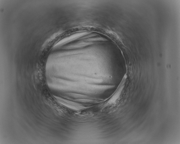 X0000076321159200610161636