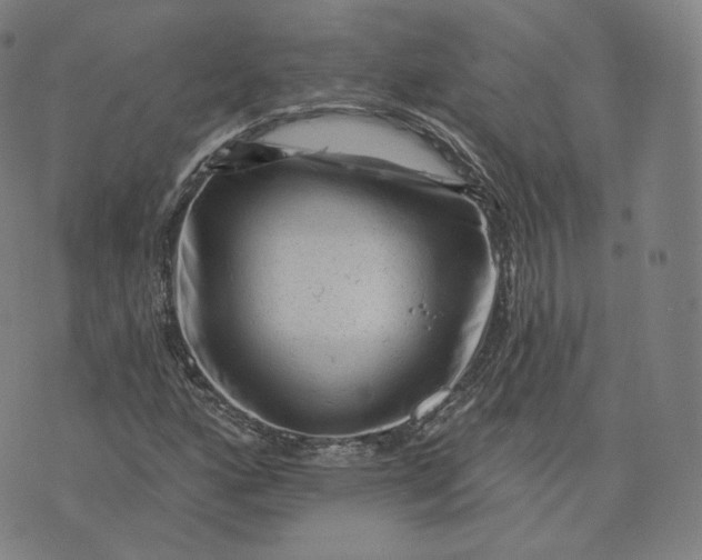 X0000076321160200610161636