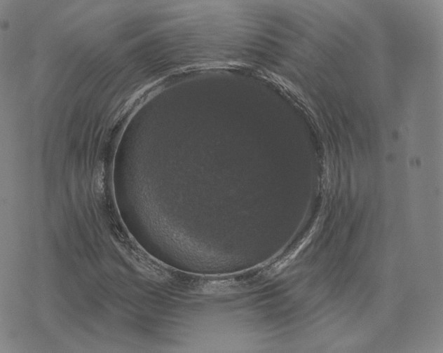 X0000076321161200610161636