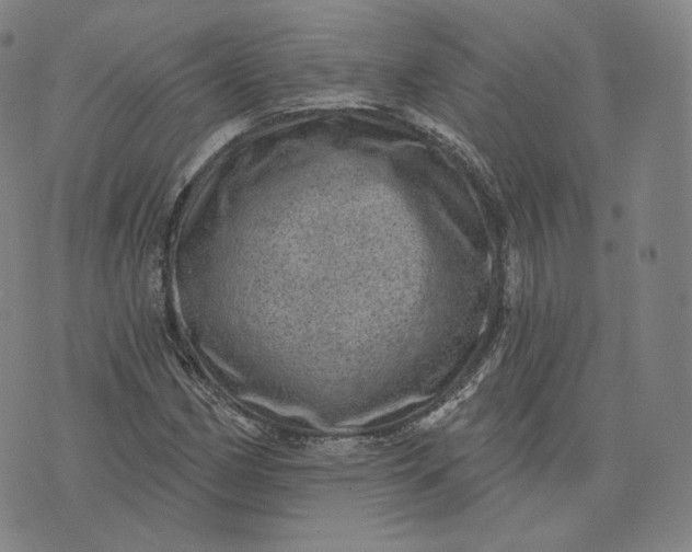 X0000076321162200610161636