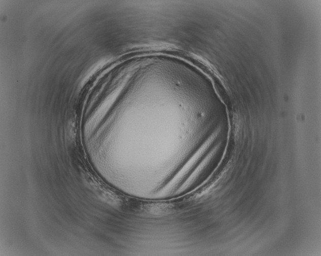 X0000076321163200610161636