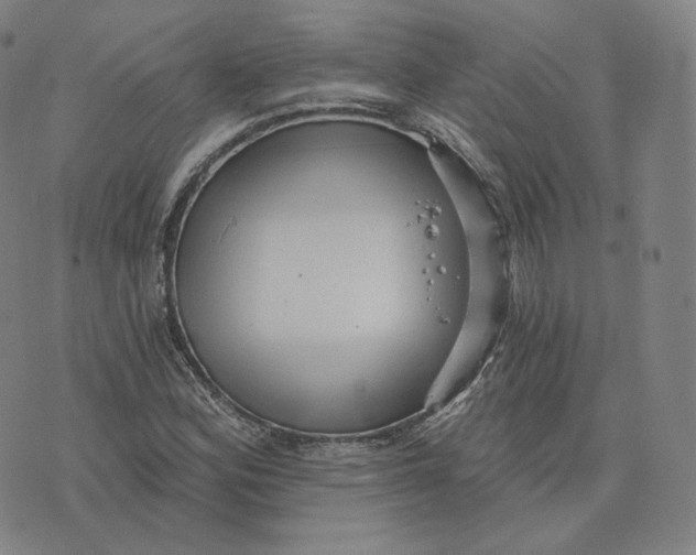 X0000076321164200610161636